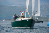 oystercatcher 3245c whyw16 mon 800 2561w